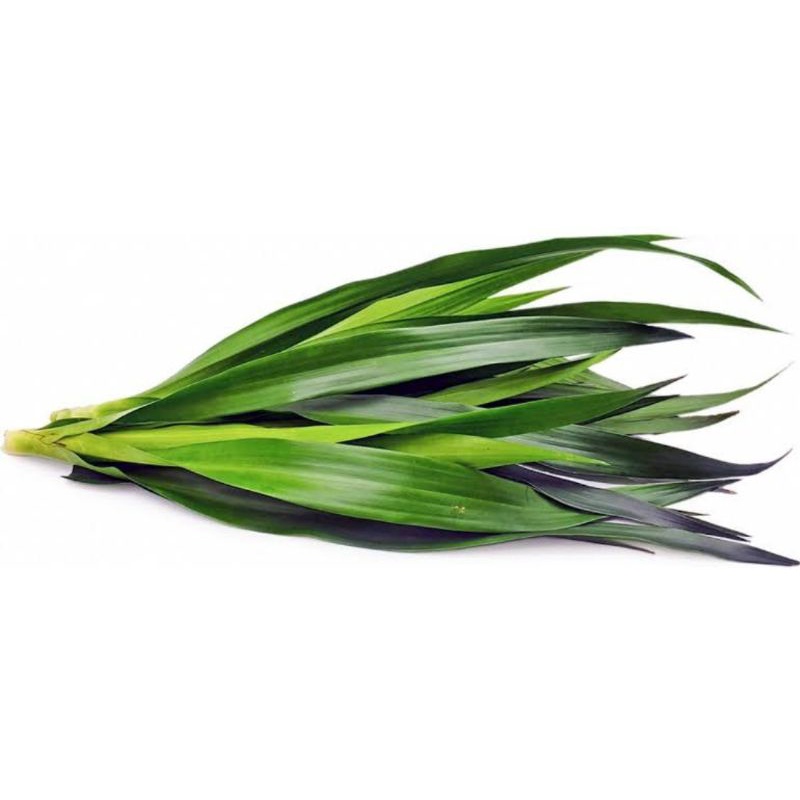 

Daun Suji Segar 30 Lembar