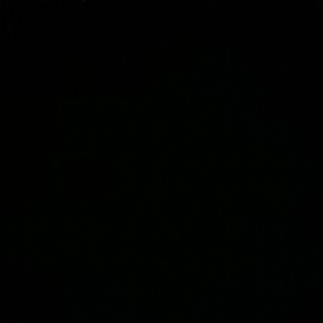 Kemeja Batik Cendrawasih Ekor Besar