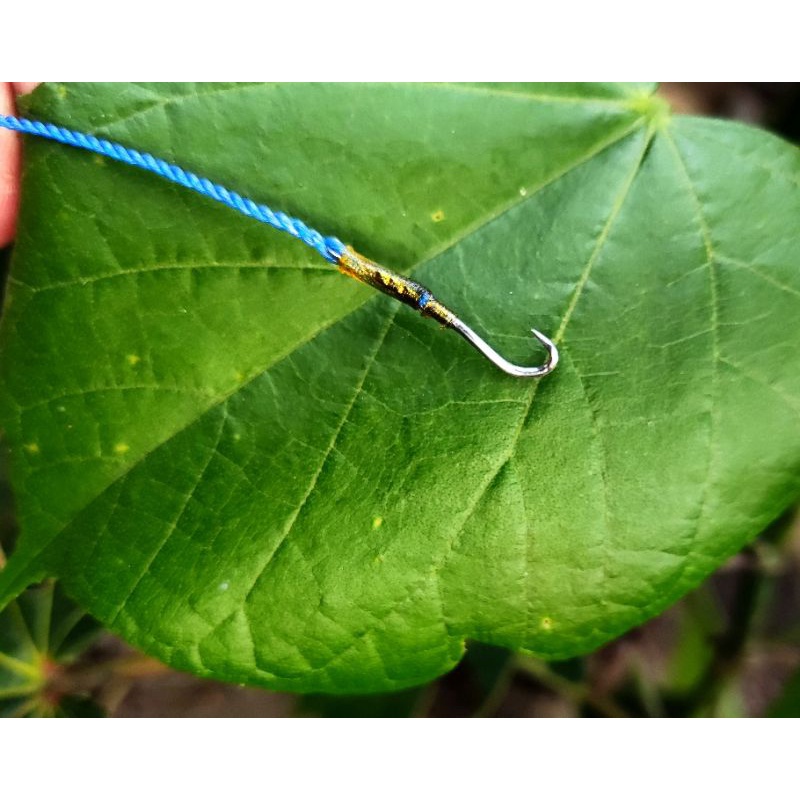 pancing belut tali tambang