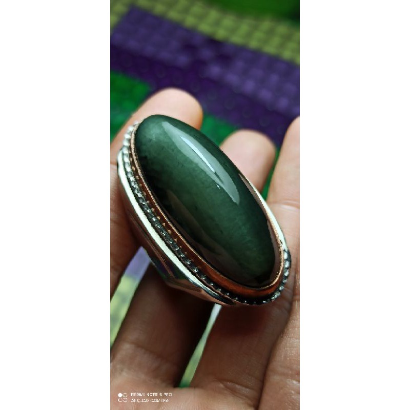 PANDAN IJO LUMUT