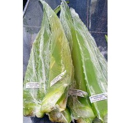 *PELEPAH LIDAH BUAYA SEGAR,,,PELEPAH GEL LIDAH BUAYA