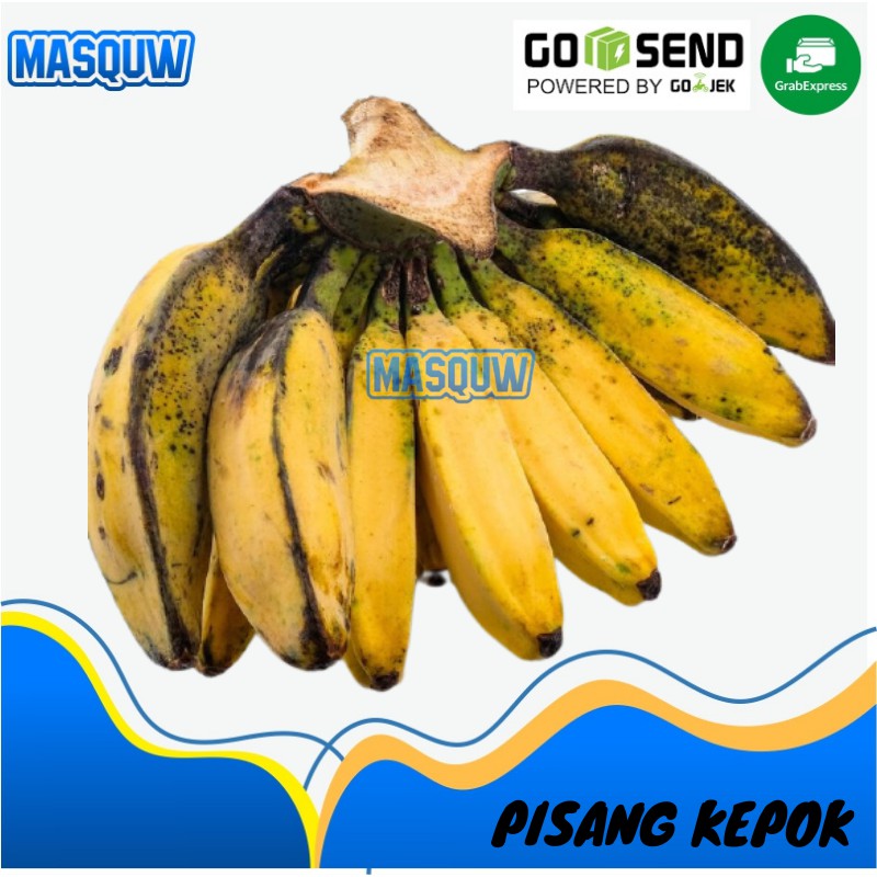 

PISANG KEPOK MERAH BIASA 1 / SATU CENGKEH SISIR BUAH BUAHAN ONLINE SIDOARJO MASQUW