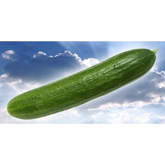 

cucumber fresh