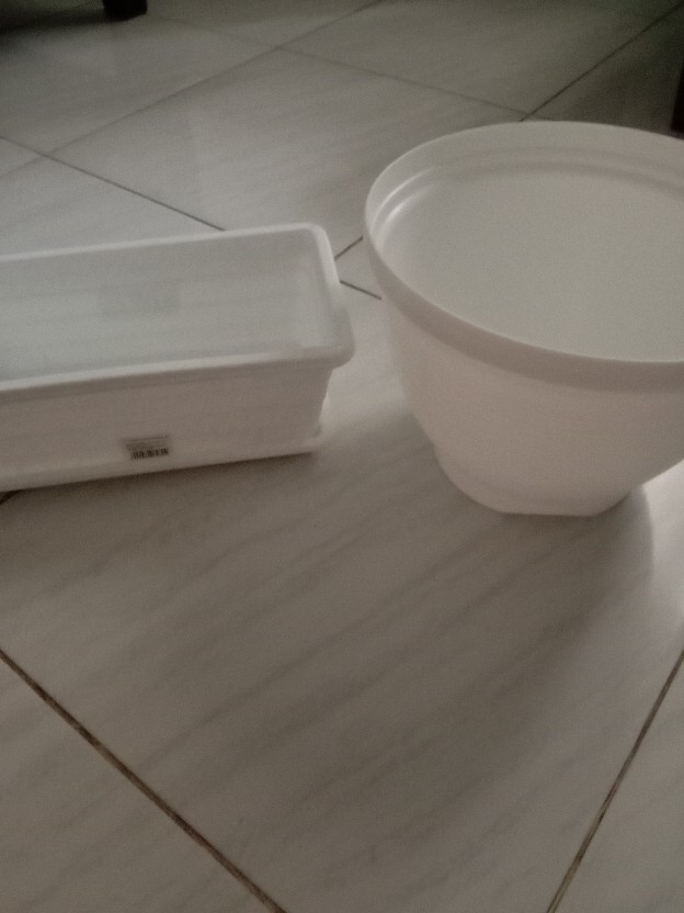 Pot Bunga Tanaman Motif Lebah Warna Putih 24cm - Nkt