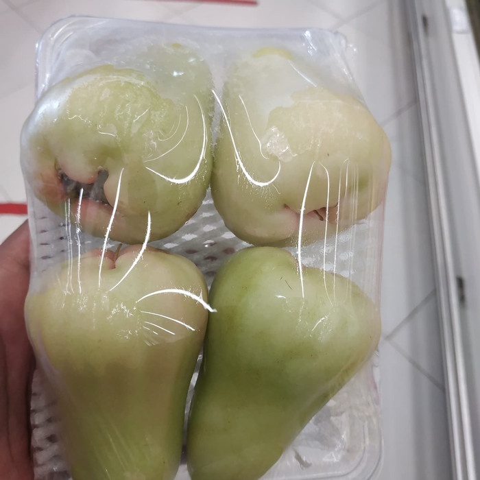 

Jambu Air Jade Rose /pac
