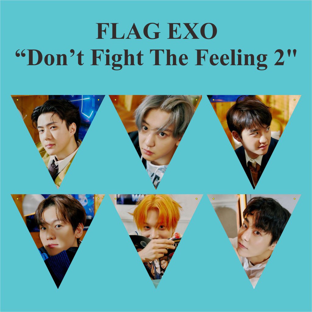 BUNTING FLAG EXO DON'T FIGHT THE FEELING Plus Tali Kpop Murah