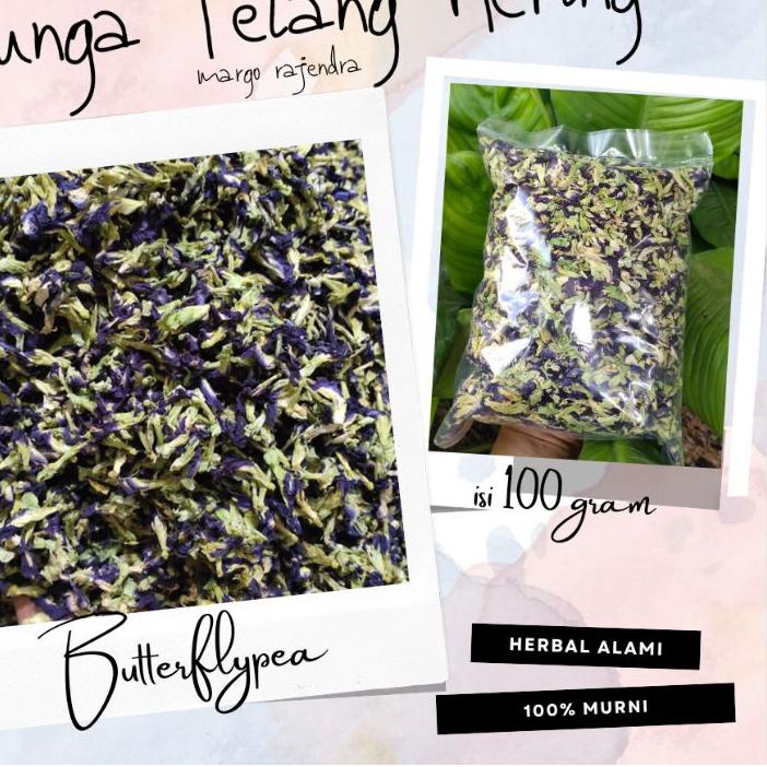 

︽X Bunga Telang Kering 100gr Promo Murah Teh Butterflypea Organik HOT SALES 3090 ♘