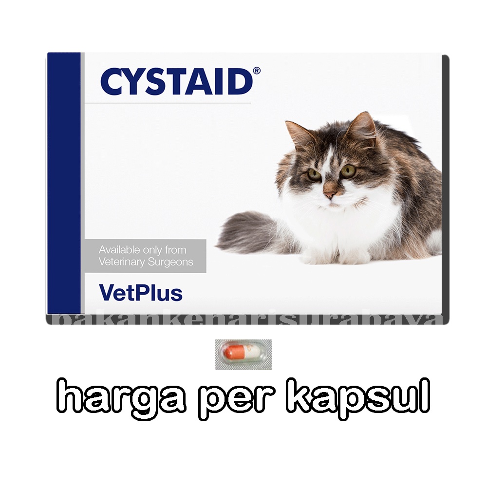 CYSTAID PLUS Suplemen Untuk Kucing Masalah Penyakit Urinary FLUTD Kapsul