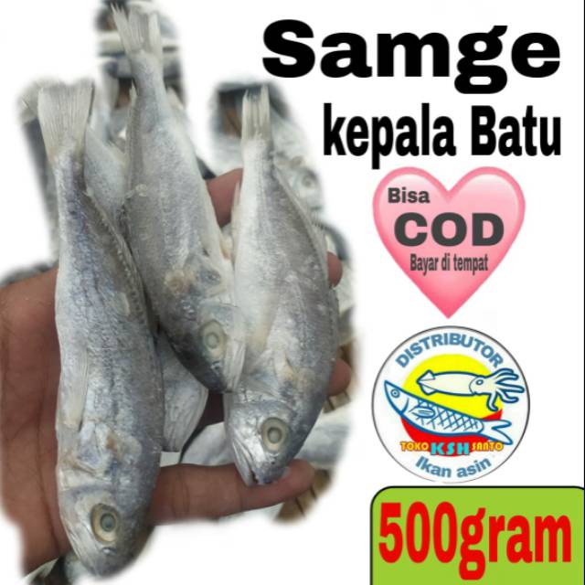 

Ikan pala batu bulat khas medan 250grm