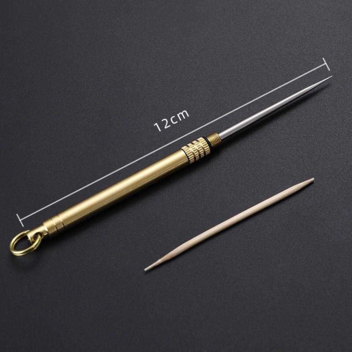 Tusuk Gigi Toothpicks EDC Titanium AlloyTube Tusuk Jigong