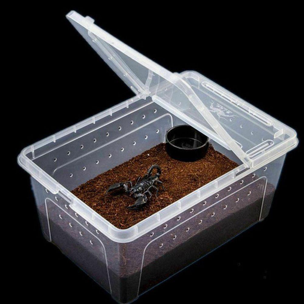 [Elegan] Kotak Makan Transparan Serangga Kodok Reptil Untuk Cicak Spider Tokek Tarantulas Breeding Living House