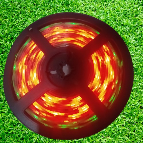 LAMPU LED ROLL LED STRIP TYPE 5050 RGB 24Volt Panjang 5M