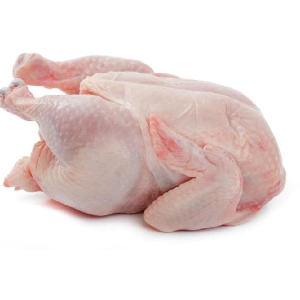 ayam utuh / ayam broiler 1.3kg - 1.4kg fresh halal (PO 2 Hari)