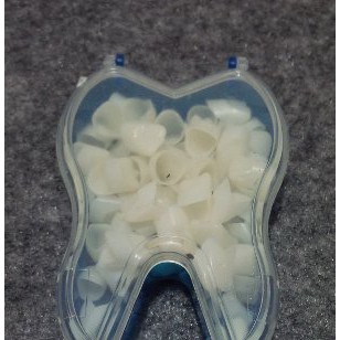 CROWN GIGI   CROWN GIGI SARUNG BAGIAN ANTERIOR DEPAN