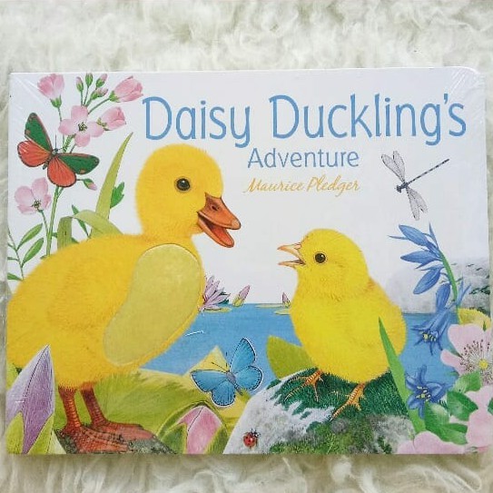 Daisy Duckling's Adventure Lift The Flap Book