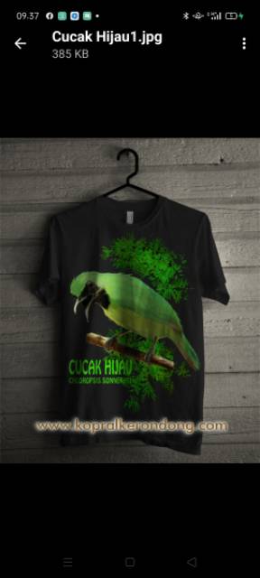 kaos burung combed 30s