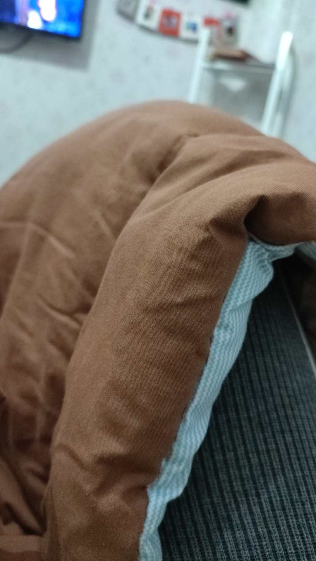 Botol Minum Whale Cup Straw | Lumba Lumba Air Mancur | Botol Unik