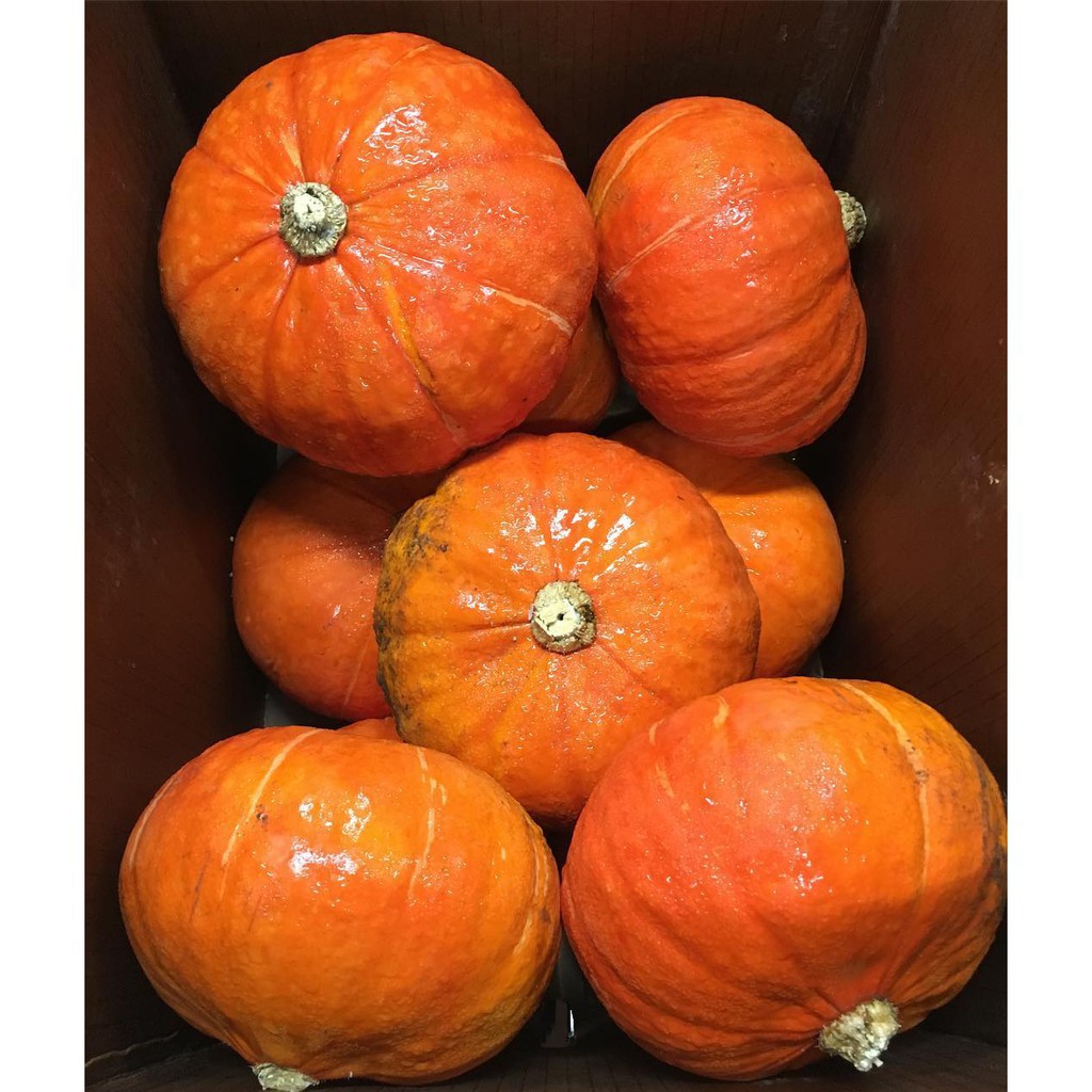 

PASAR ONLINE MURAH - LABU JEPANG / KABOCHA KUNING / PUMPKIN