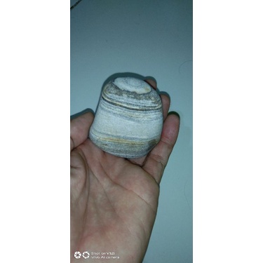 BAHAN BATU PUSER BUMI BUKAN TAPAK JALAK COMBONG