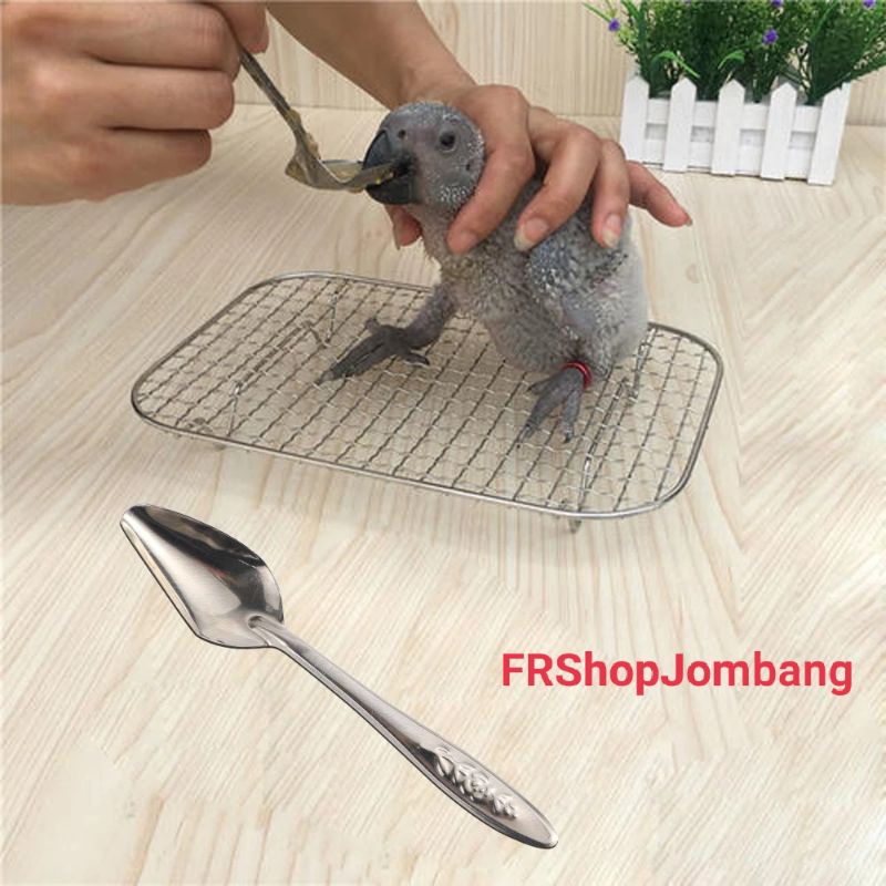 sendok lolohan makan burung lovebird falk parrot