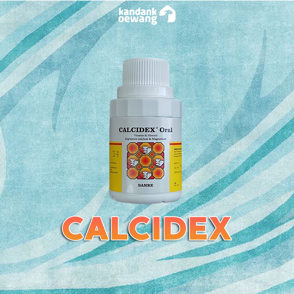 Calcidex Obat Lumpuh Hewan Obat Defisiensi Kalsium Phosphor Magnesium Hewan Ternak Ruminansia