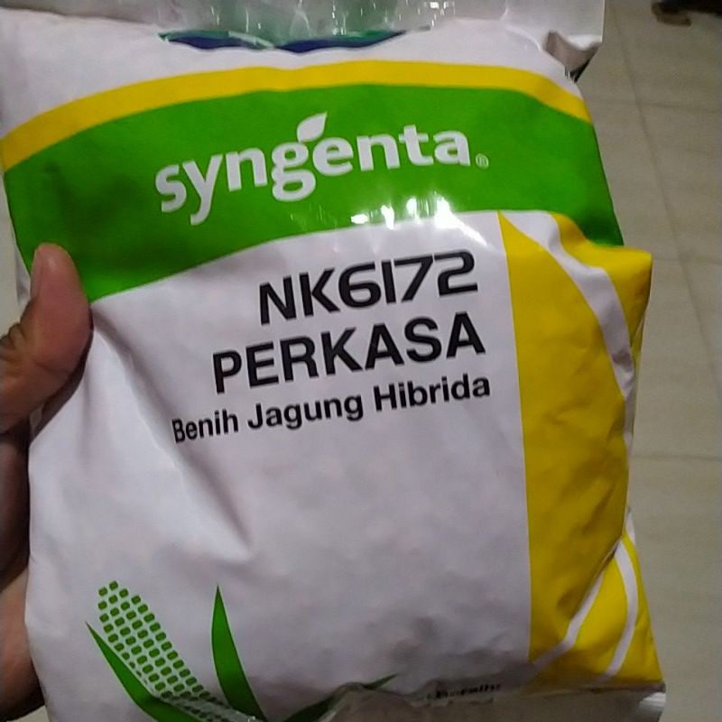 Jual Benih Jagung Perkasa 6172 ASLI | Shopee Indonesia