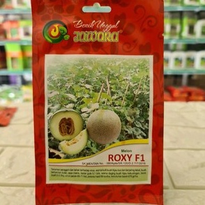 Benih Melon Hibryda ROXY F1 1 gram - BIbit Melon