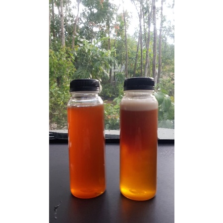 

Madu Kelulut Murni