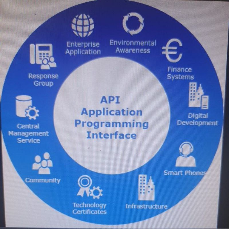 KEY SOFTWARE API SW PULSA