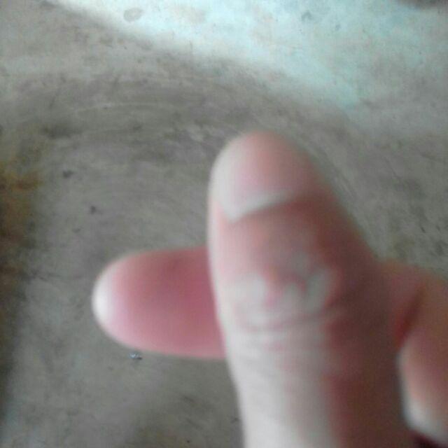 Oil Seal Kit Sil Komplit Pompa Steam Power Sprayer Doorsmeer 30cc  Ps30 Sp30