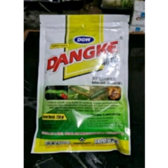 

dangke 250 gram