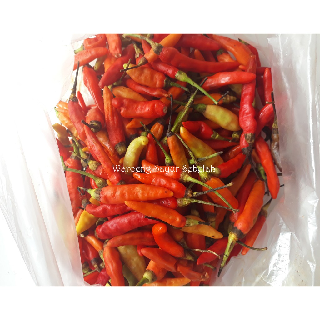 

Cabe Rawit Merah