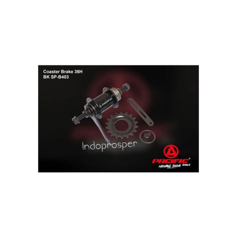 Hub Bos Terpedo Torpedo Sepeda Fixie BMX lobang 36H Pacific