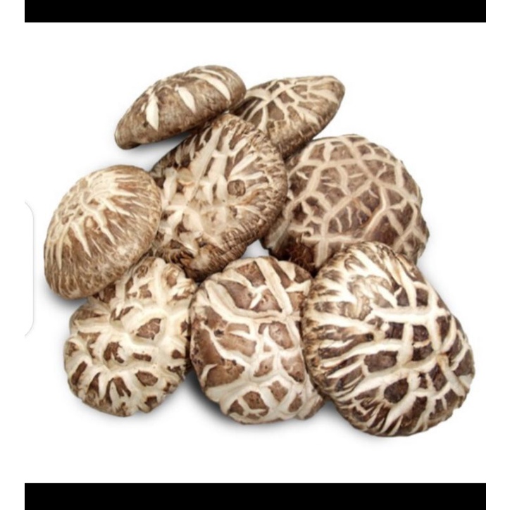 

Jamur Shitake Kering / Dried Shitake Mushroom 100 gram