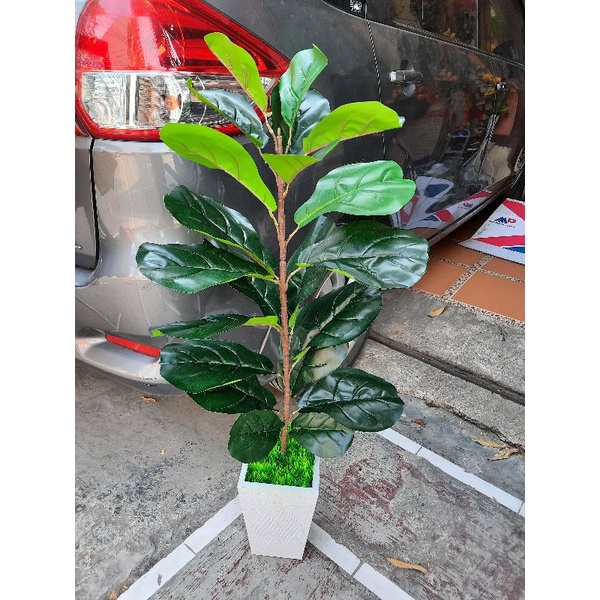 pohon ketapang artificial pohon palsu pohon dekorasi pohon ketapang palsu