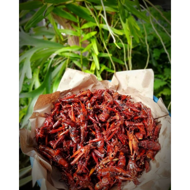 

Kemasan toples 110 gram DAPURDINA_BELALANG