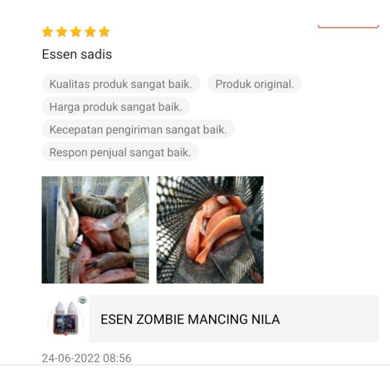 ESEN ZOMBIE MANCING NILA