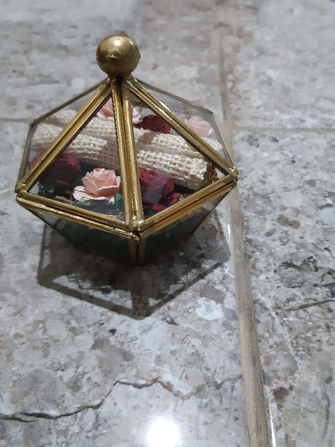 Ringbox Terrrarium Only Mini