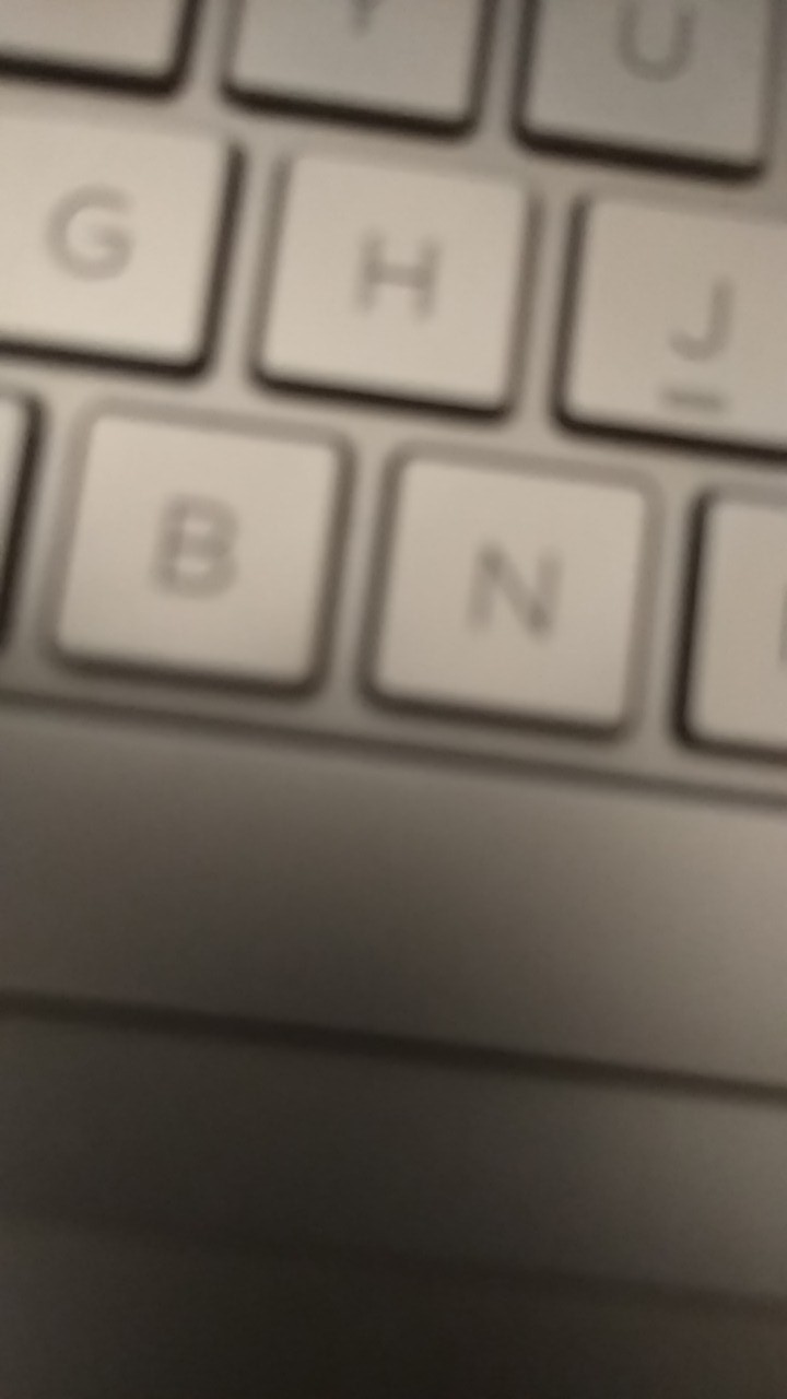 Bibit Benih Biji Sayur Oyong Cocok Untuk Dijadikan Sup - Biji Tanaman Sayur Oyong - Bibit Oyong -cod