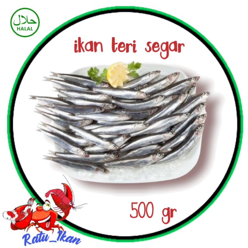 

ikan teri segar [500gram] ratu_ikan