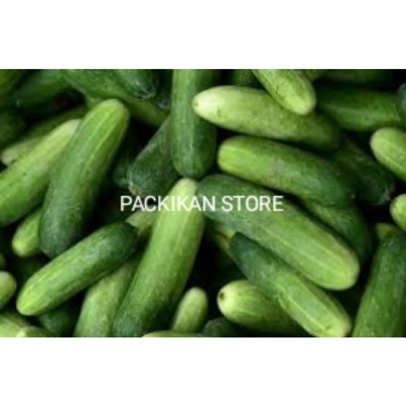 

Timun Segar Dan Bergarasi 500 g