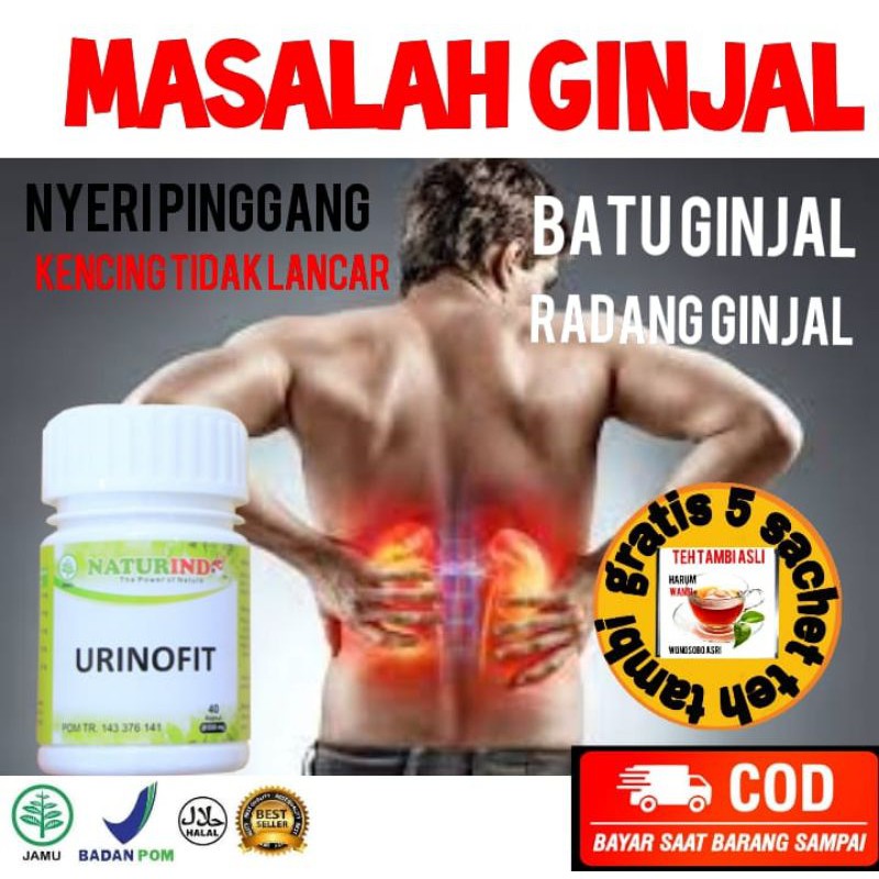 OBAT GINJAL OBAT SAKIT GINJAL BATU GINJAL OBAT GAGAL GINJAL OBAT PROSTAT HERBAL AMPUH NATURINDO
