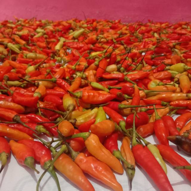 

JUAL CABAI RAWIT MERAH / CABE RAWIT / CABAI SETAN / CABE SETAN SUPER / HARGA TERJANGKAU / TERPERCAYA