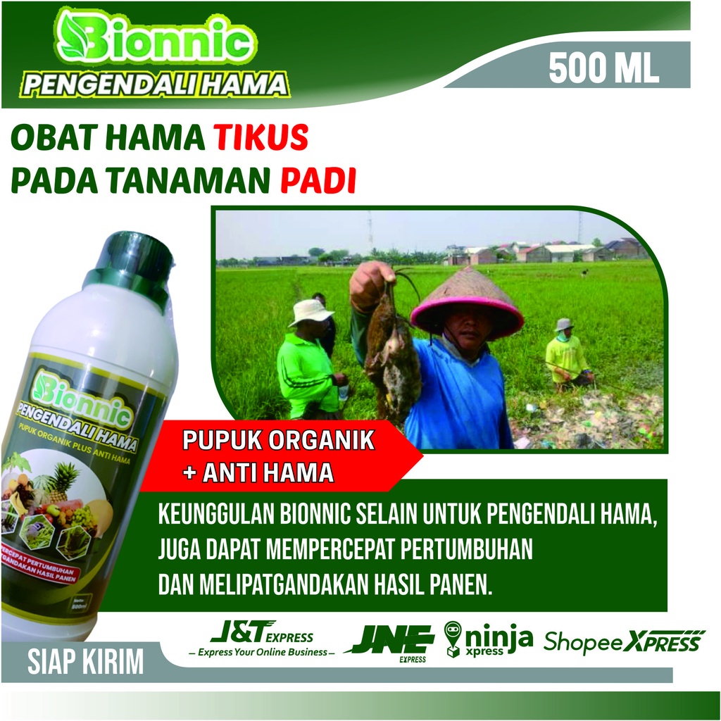 Obat Hama Tikus Loudest Pada Padi - BIONNI Obat Racun Hama Tikus Alami - Pupuk Melebatkan dan Memper