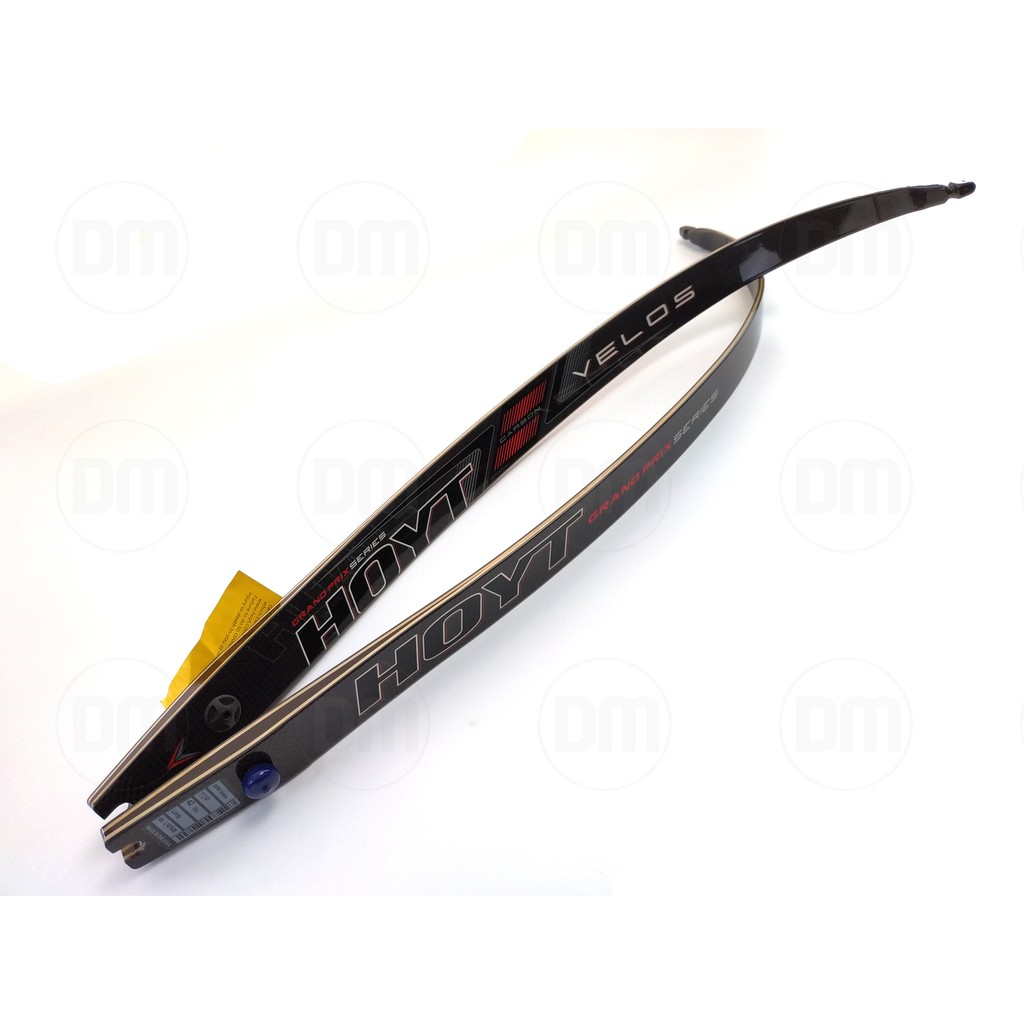 Limbs ILF--Hoyt Grand Prix Velos Carbon--Recurve--Archery--Panahan