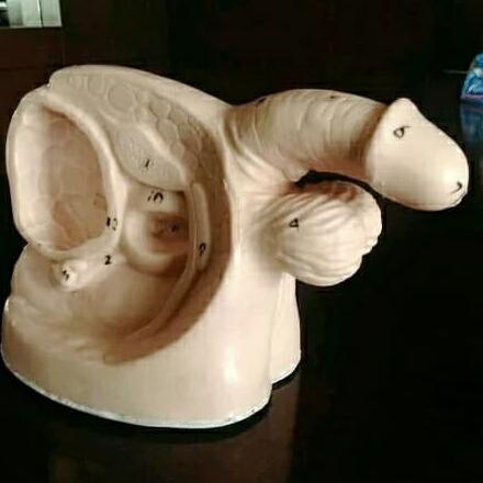 Phantom/Manikin/Manekin Lokal Kateter Pria