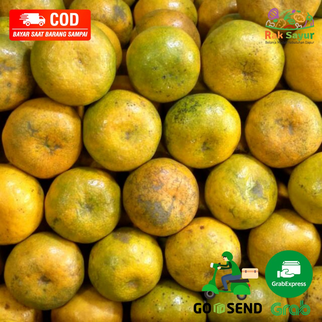 Jual Buah Jeruk Siam Gunung Omeh Riau Limau Manis 1kg Buah Segar Fresh