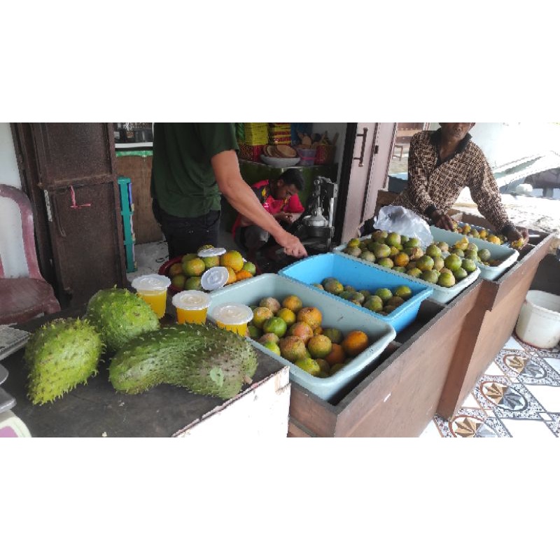 

Jeruk Siam Madu malang