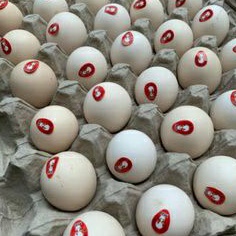 

Telur Ayam Kampung Omega3 Merah Asli Fresh per 30 butir