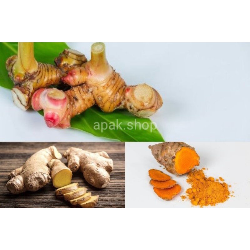 

Paket Jahe,kunyit,lengkuas | bumbu masak
